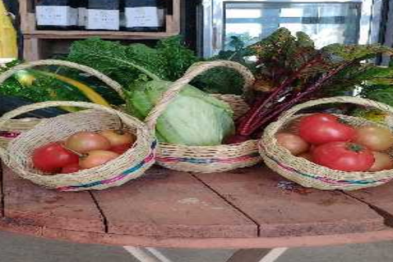 Canastas Agro El Carmen